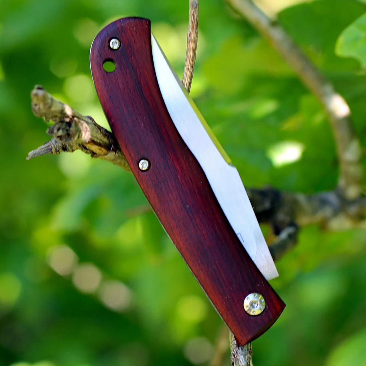 Boker Plus 01BO069 Slack, 3.2" VG-10 Plain Blade, Cocobolo Handle 4 Boker Plus 01BO069 Slack, 3.2" VG-10 Plain Blade, Cocobolo Handle - Image 2
