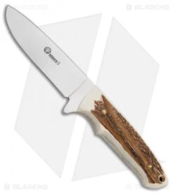 Boker Arbolito Drop Point Hunter Stag Horn (4.375" Satin) 02BA545HH