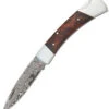 Boker Magnum Lord, Damascus, Burl Wood Handle -Knife Craft Shop knifework bom790dam 74473.1566588689